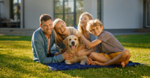 Alkazone-Pets-Banner